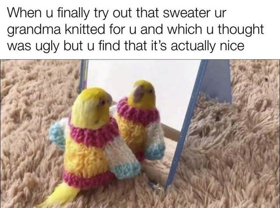 WholesomeMeme's tweet photo. https://t.co/sxtATs7alt