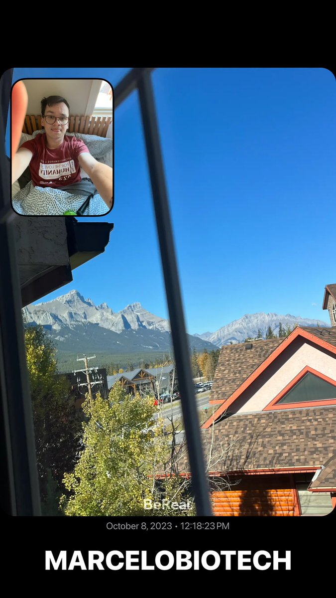 Marcelo CastroA tweet media