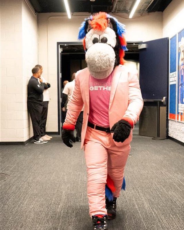 Who is Hooper? Detroit Pistons Mascot —