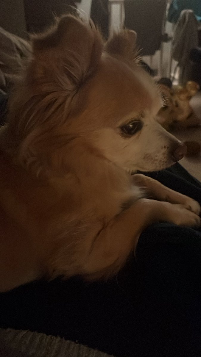 Hey guess what #reunited