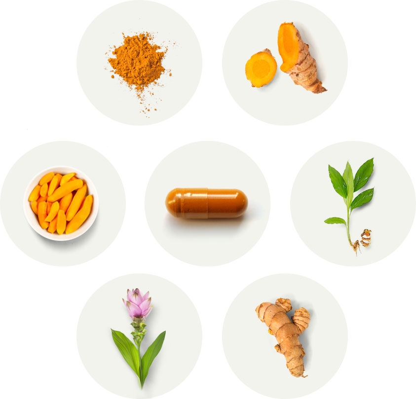 vtmnpacks's tweet photo. Turmeric is a plant native to South India and Indonesia that has been valued in Asia for thousands of years as a spice and medicinal herb. It has been long used in Ayurvedic medicine to help with inflammation, wound healing and as a powerful antioxidant 😍 https://t.co/mJ9DYqSoop