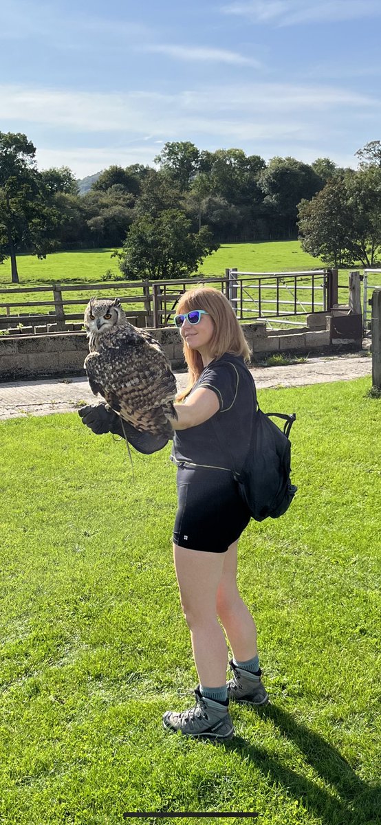 CTizzle27's tweet image. Massive thanks to @WalksWithHawks for an incredible day. This has been on the bucket list for a long time, and it didn’t disappoint. 🦅 🦉