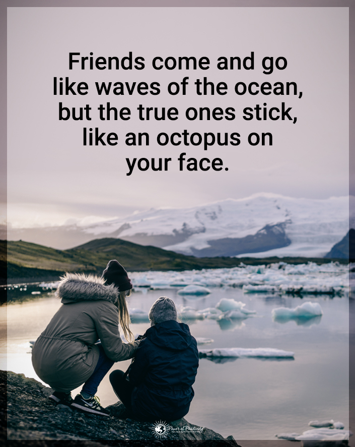 TrainingMindful's tweet photo. "Friends come and go..." #friends #trufriends https://t.co/jfgBaa4sGI
