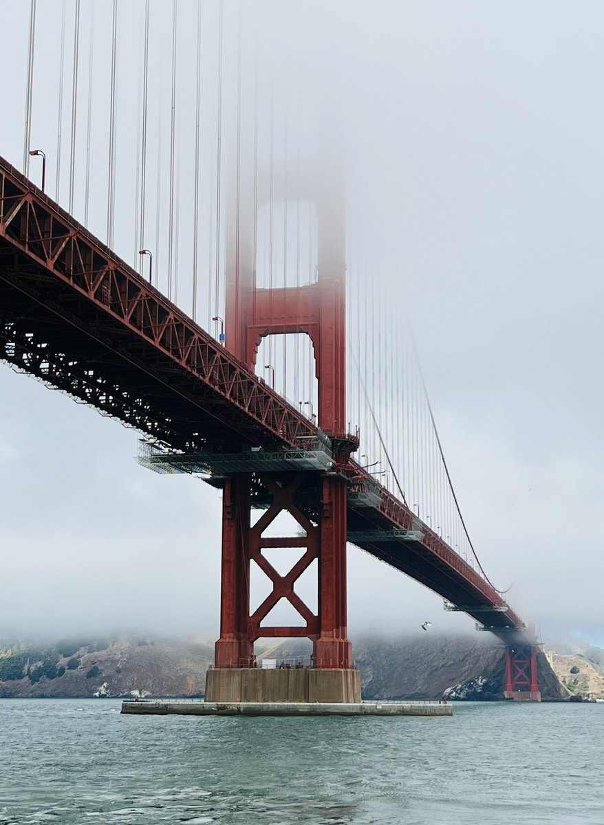 Welcome back, <a href="/KarlTheFog/">karl the fog</a>!

I missed you.