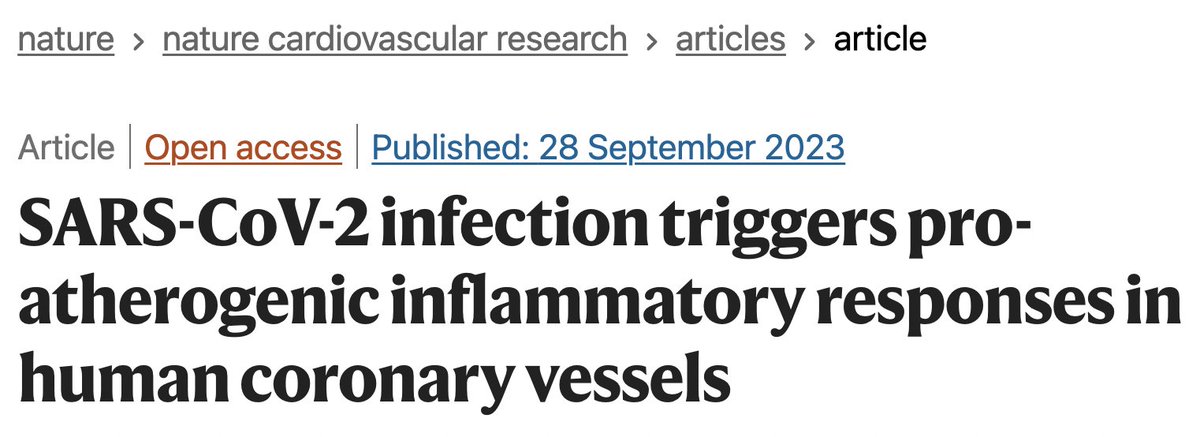 Demek ki neymiş?
 Artan kalp krizlerinin nedeni aşı değil, damar plaklarına oturup onları büyüten ve yırtılmasına neden olan virüsün kendisiymiş.