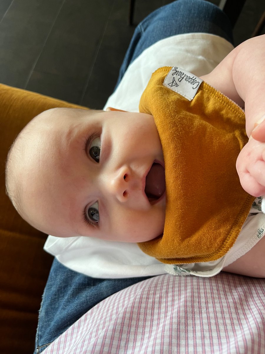 brunchmaster 5000 (@graddy) on Twitter photo 