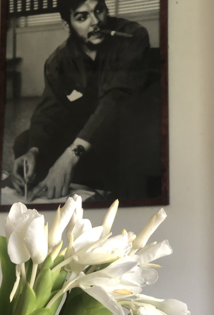 Ídolo

Resulta que tu nombre se convirtió en consigna
y tu imagen en mercancía barata.
Tus palabras han sido releíddas, analizadas,
malinterpretadas y rehechas
para que tus silencios no acusen
y tus miedos no se noten.
¡Qué desastre ché!

#HastaLaVictoriaSiempre #Che