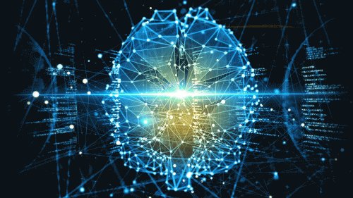 Génétique Animale et Biologie Intégrative UMR GABI tweet media