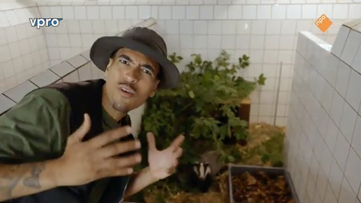 Vandaag stond de uitzending van het nieuwe VPRO-jeugdprogramma Wilde Buren in het teken van de das! Presentator Wildebras bezocht onze dassenopvang en vertelt van alles over dassen en hun manier van leven!

Check de aflevering op NPO Start: npostart.nl/wilde-buren/08…