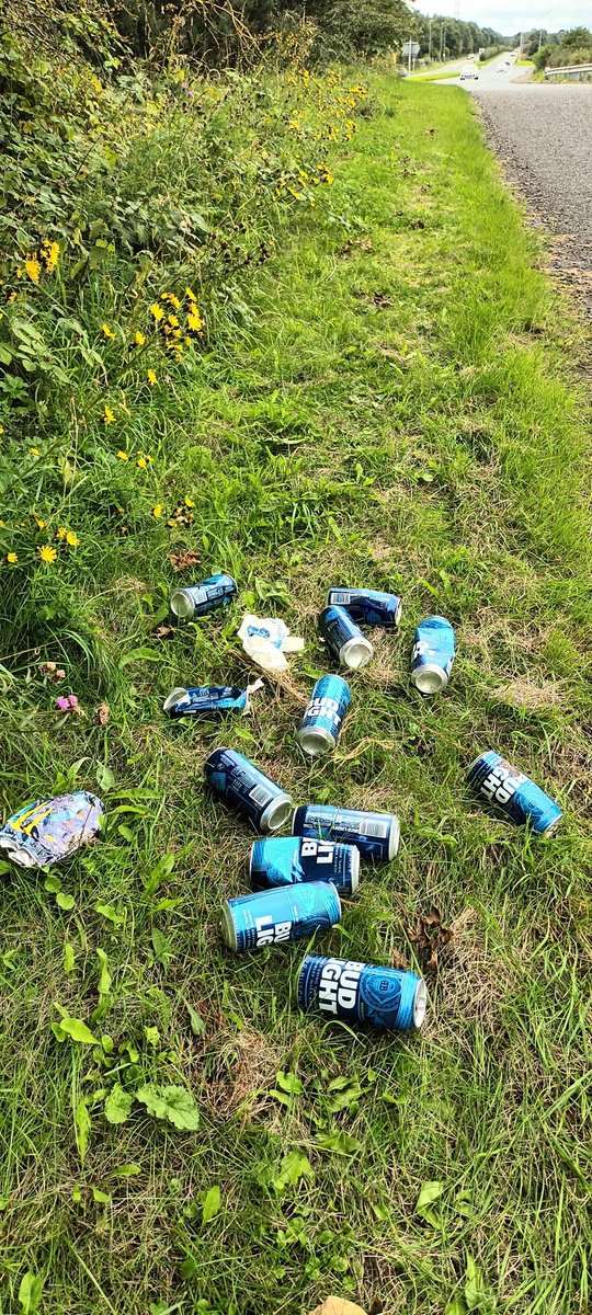 The @BudLightUK #tosser is back. Strange that you find so many alcohol cans and bottles on the verges of busy roads! #litter louts! #Northumberland @Cleanup_UK @cleanupbritain @KeepBritainTidy