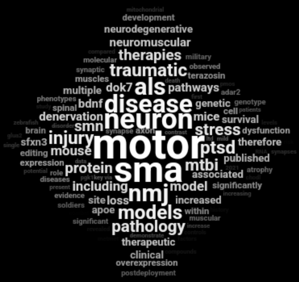 This is fun! A word cloud of my published work to date. I do love motor neurons and NMJs 💕