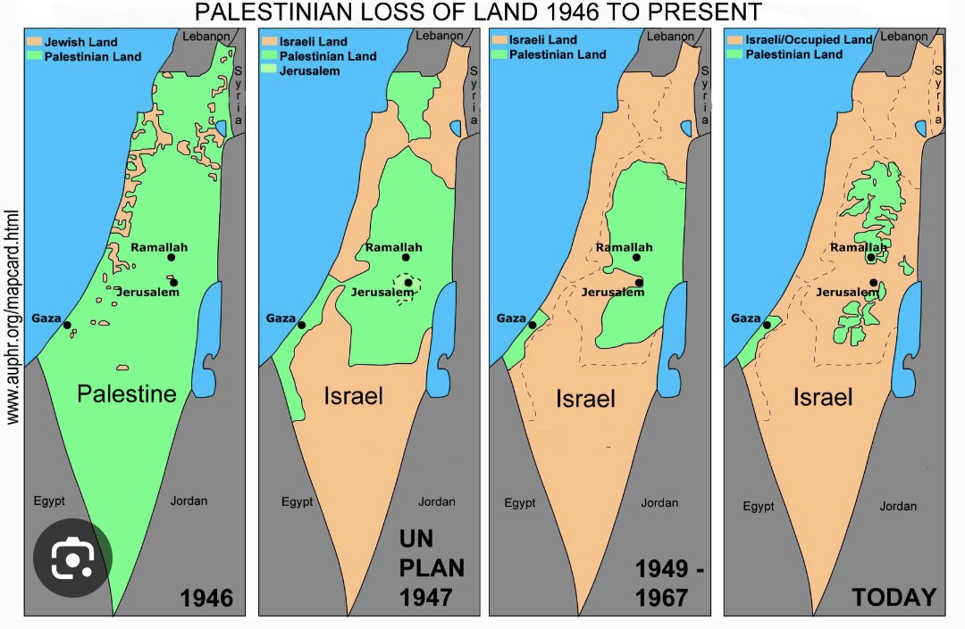 $LJF90🐍 tweet media
