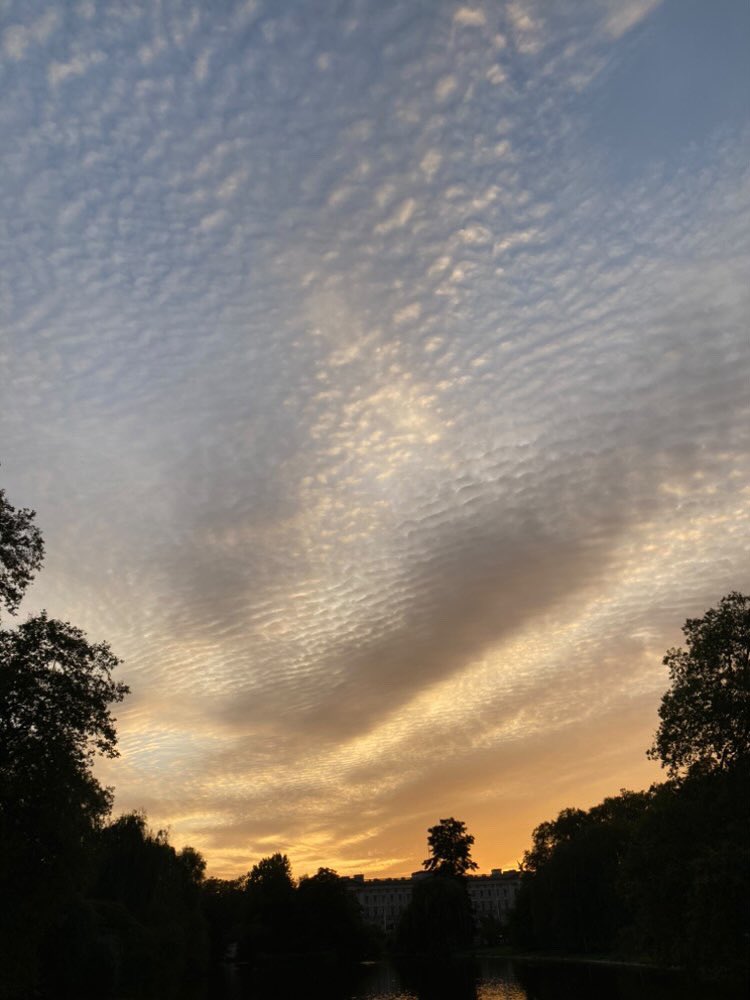 Sunday eve skies ✨🍁