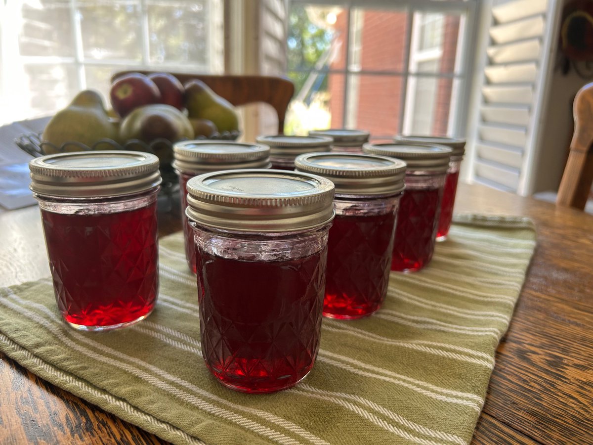 keeper_orchard's tweet photo. Just finished the first batch of muscadine jelly! On to batch #2 https://t.co/gL5hp2pifN