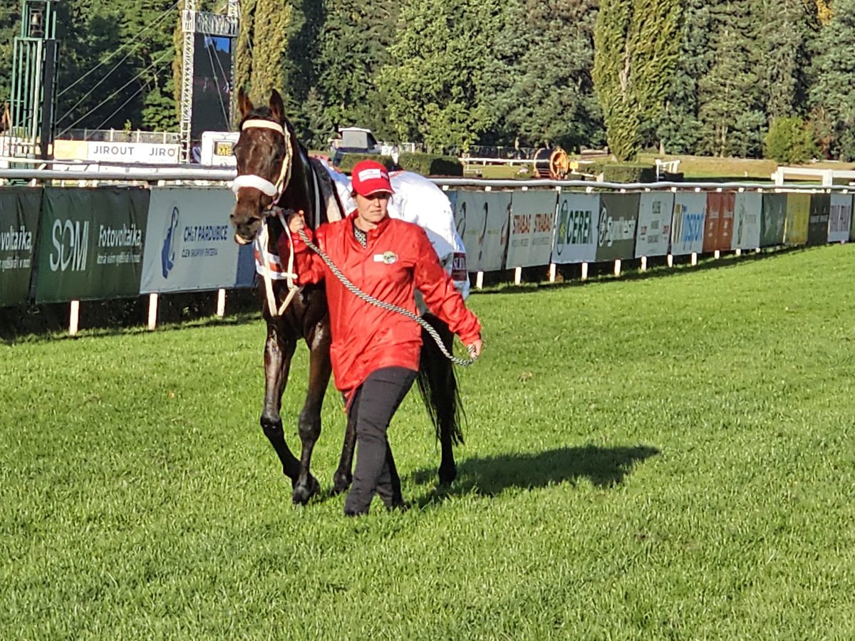 Crystal Cup tweet media