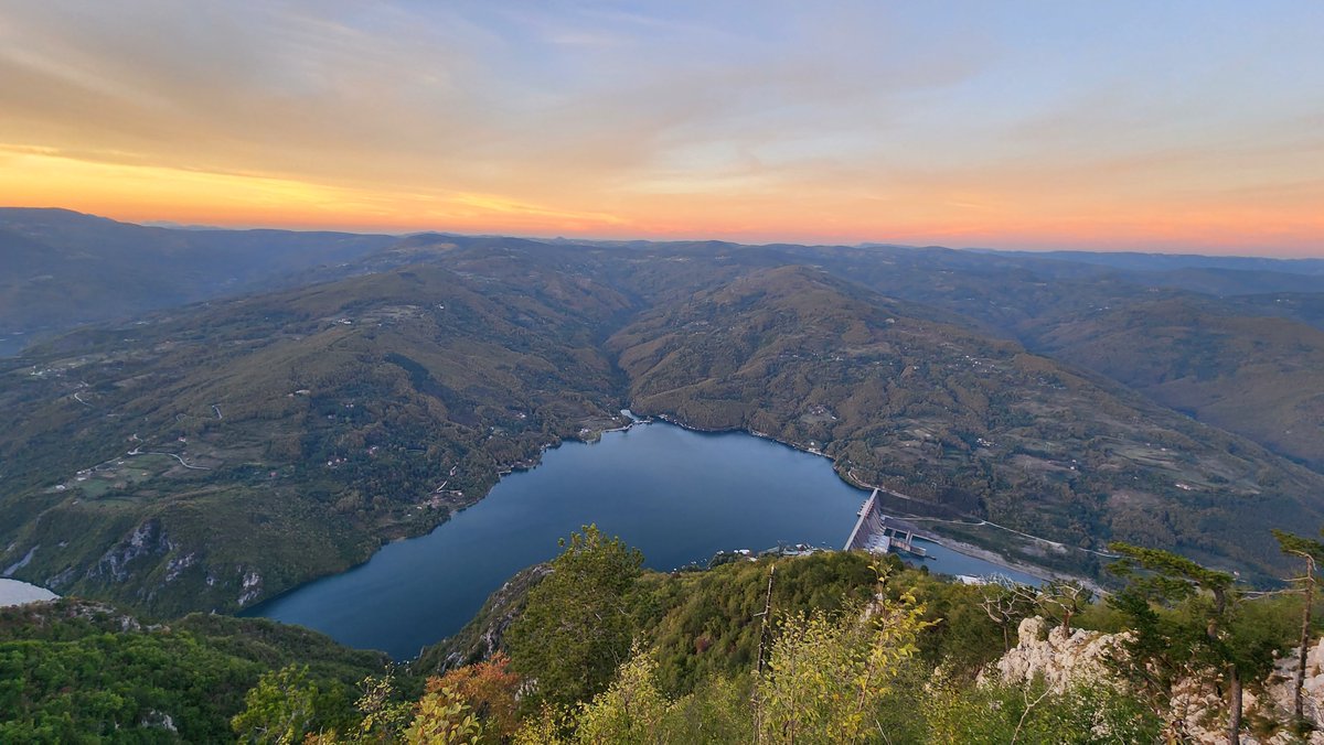 Nick March tweet media