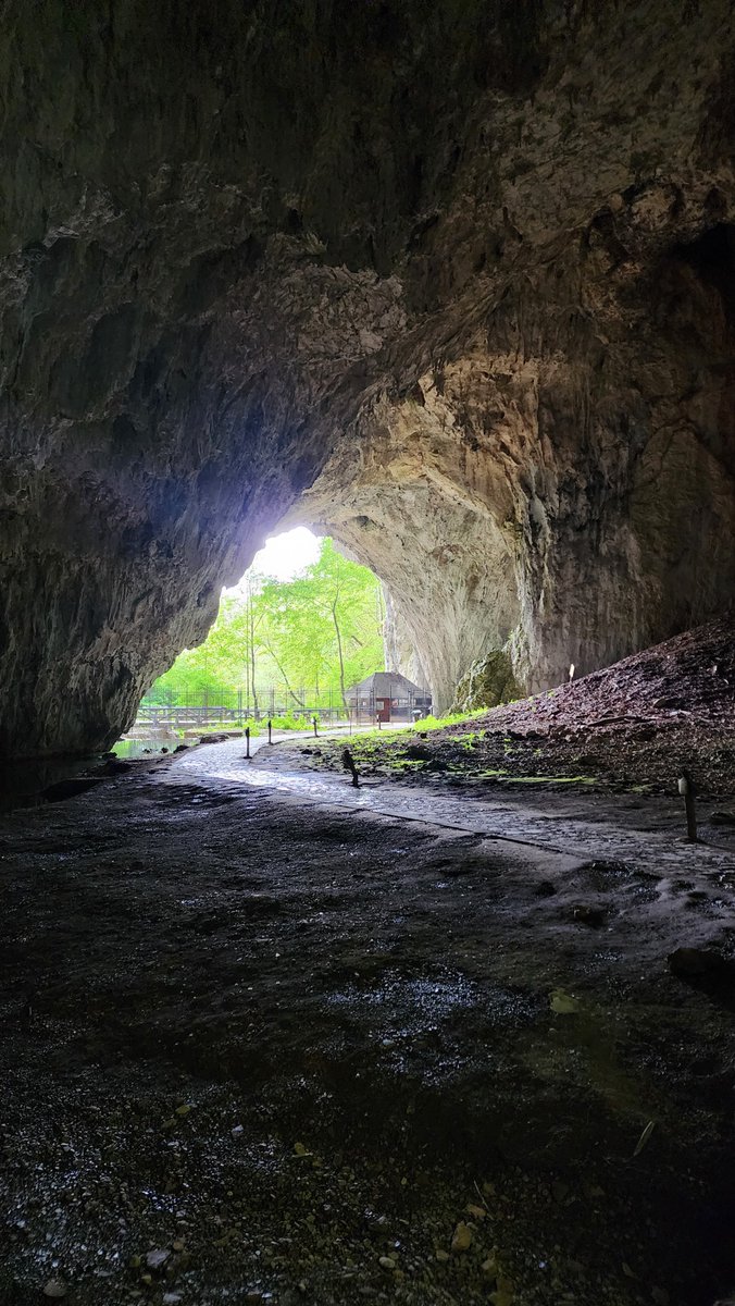 Nick March tweet media