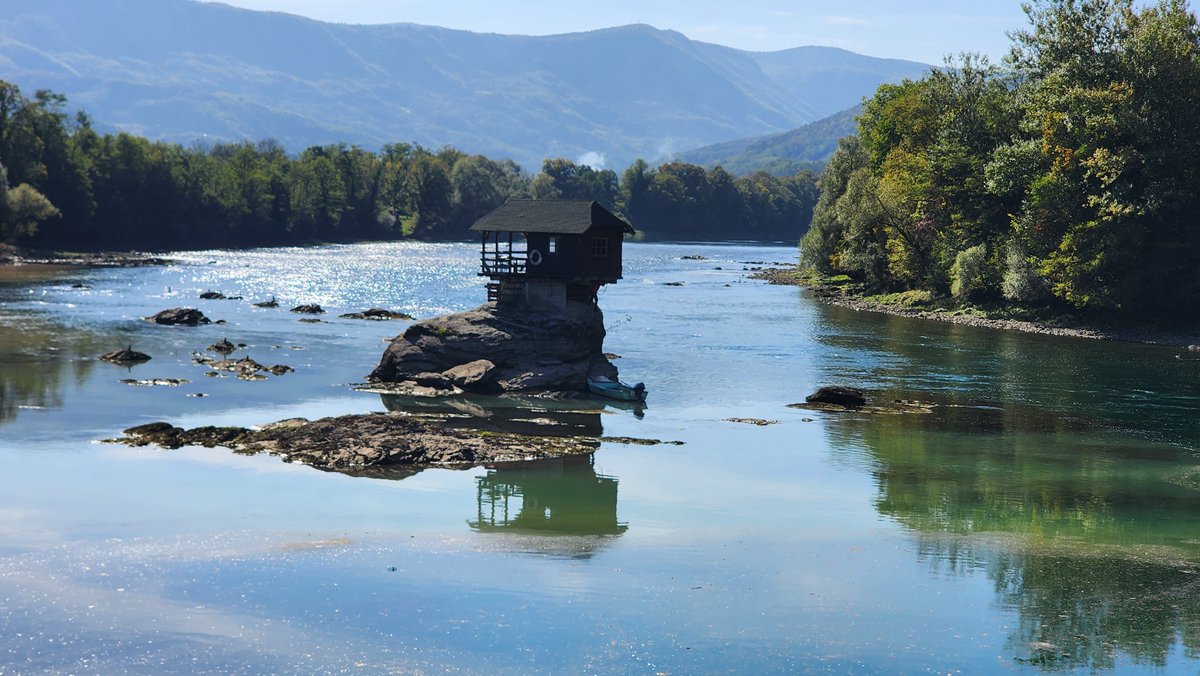 Nick March tweet media