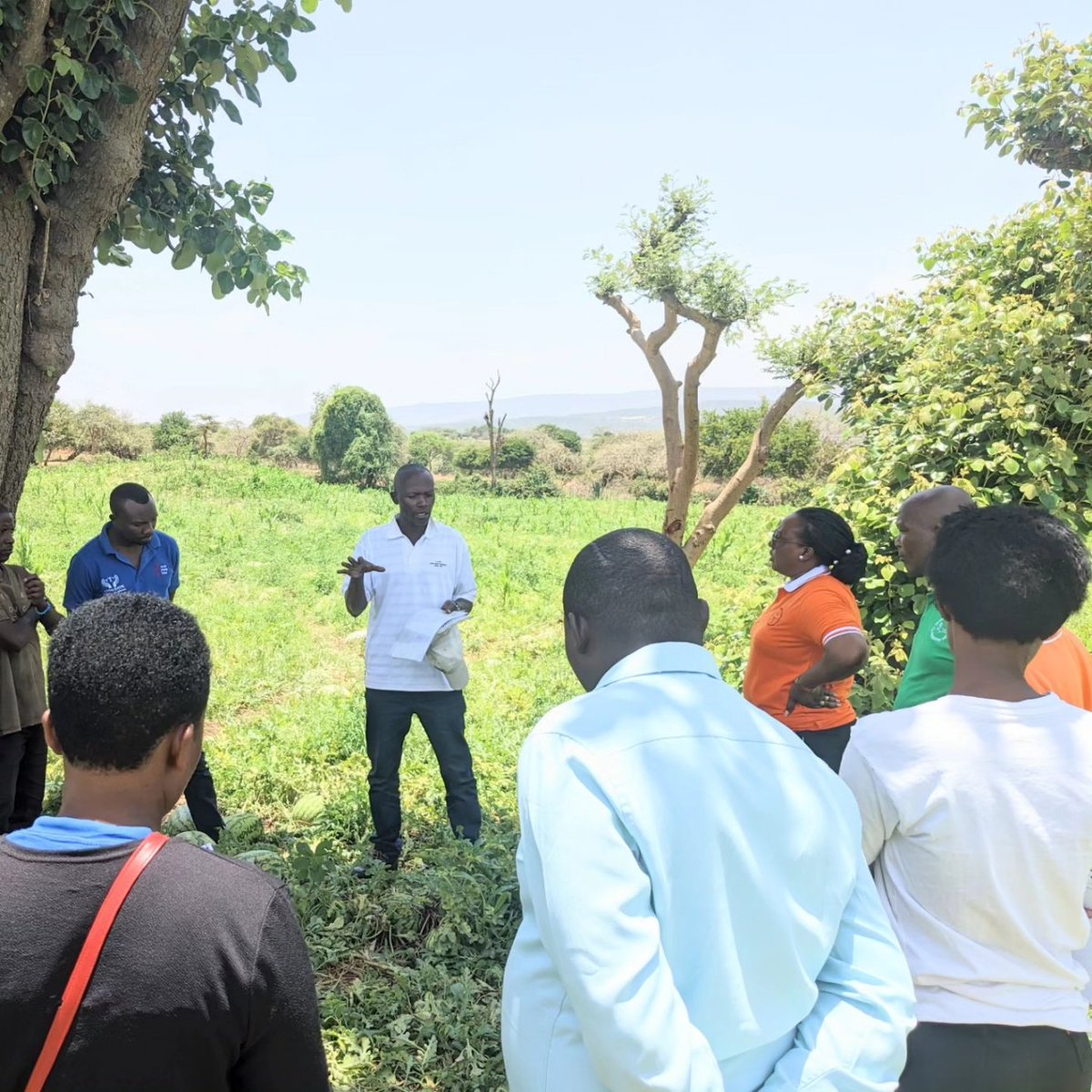 SACCA_Rwanda's tweet image. SACCA received @UyisenganImanzi staff, Farmers and field facilitators in the learning  and experience sharing on agriculture practices from #Ndego project funded by @WJRelief.
 @SACCA_Rwanda has a mutual collaboration with a #UNM, a brother organisation!