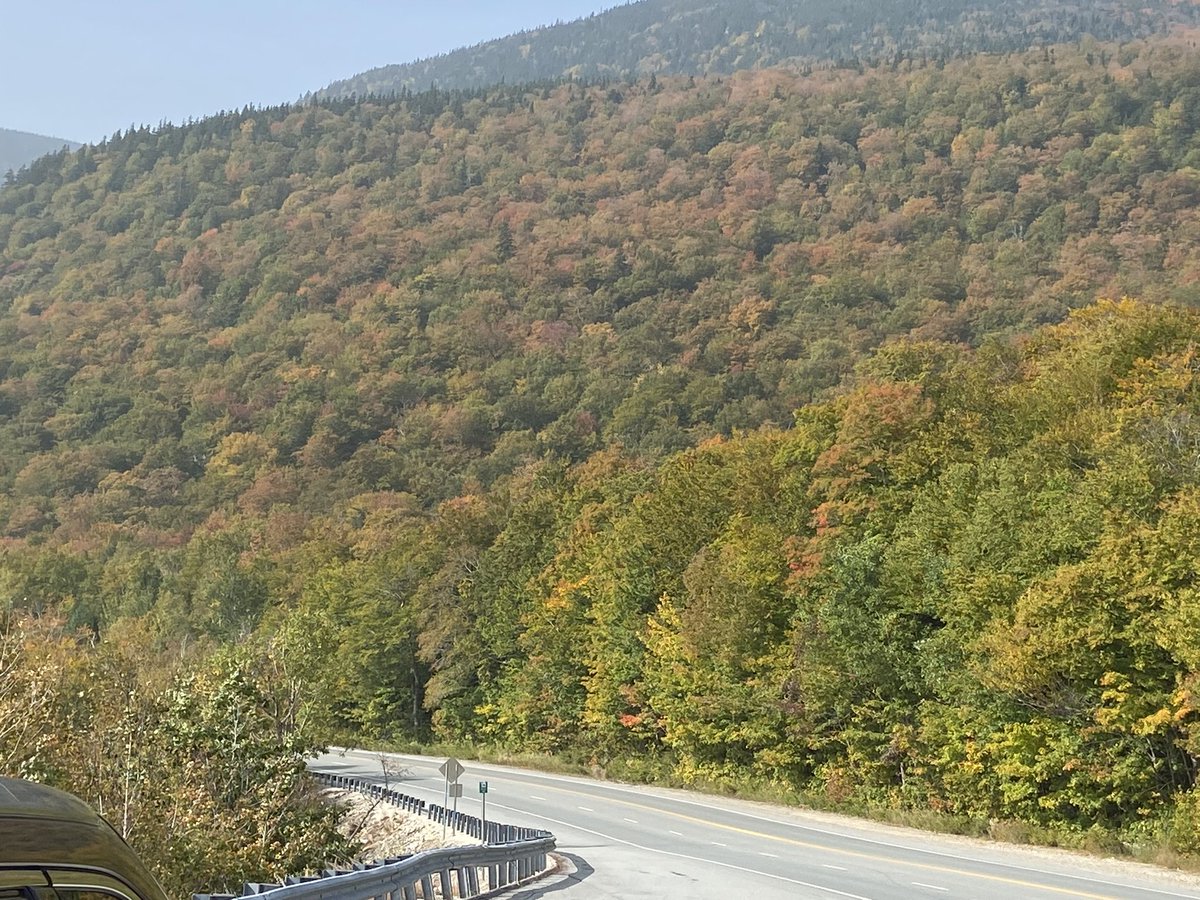 KappaRama's tweet photo. #Foliage starting to peak… https://t.co/08iCIpafgN