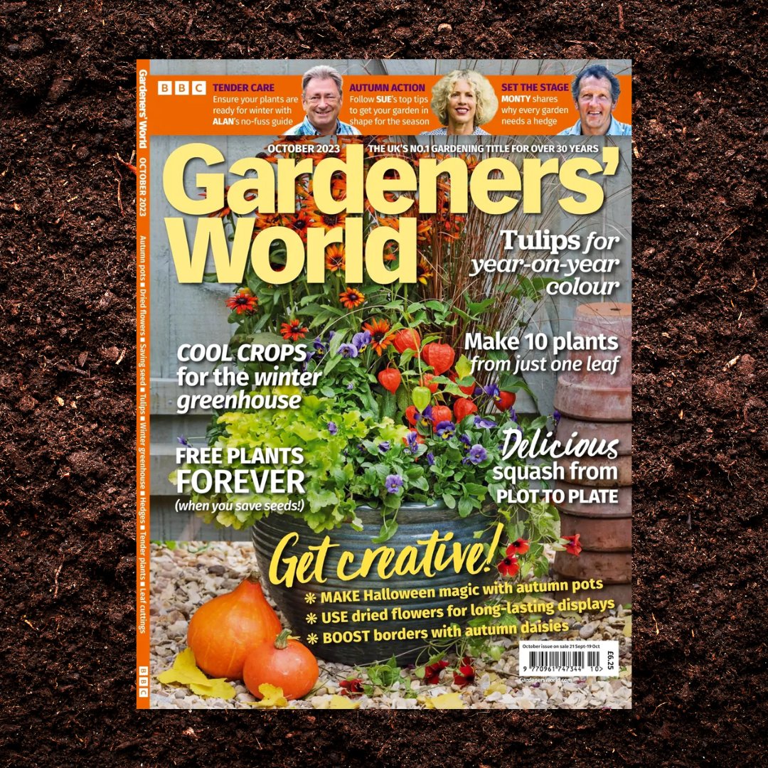 Unlock Autumn's Secrets 🍁🎃

From one leaf to ten plants, infinite garden growth, and creative Halloween hacks- all can be found in this month's BBC Gardeners' World issue!

Grab your copy here: ow.ly/wJJa50PUo1U

#autumn #gardeninghacks #bbcgardenersworld #flower