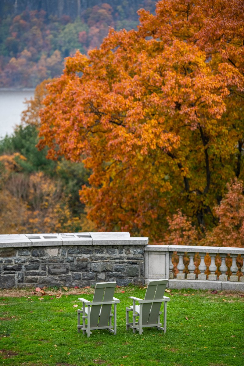 Wave Hill tweet media