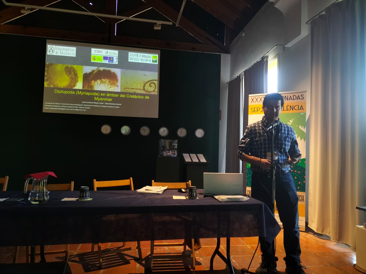 Masterpaleo's tweet photo. En las XXXVIII Jornadas de la @Sepaleontologia nuestros alumnos contribuyeron con 3 comunicaciones orales: Pablo con los saurópodos del Museo de Ciencias Naturales de Valencia, Jose sobre la interacción entre especialización y longevidad y Humberto sobre el ámbar de Myanmar https://t.co/h4ugogvyXU