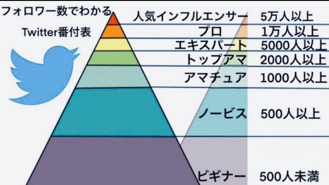 #フォロバ100絶対します
#フォローした人全員フォロー 
#拡散希望