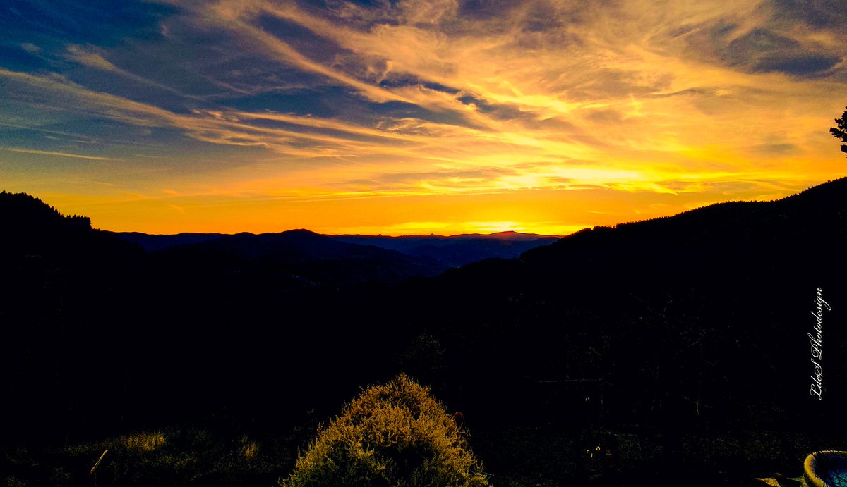 Sending you all warm sunset vibes...
#SundayYellow #SundayVibes
#SundaySunset #StormHour
#NaturePhotography
#ThePhotoHour #NatureLovers