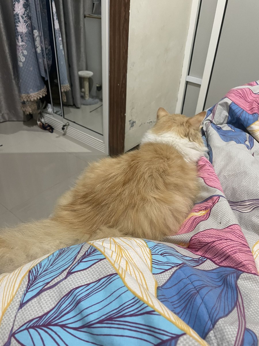 aaisyaw's tweet photo. kalo ada bocil tidur disamping gini takut bgt gerak 🥹 https://t.co/hiLcOCgwDR