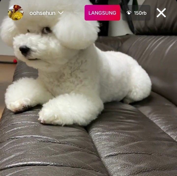 ☀︎⁸⁸¹² 🍉 Wait On Me is out ! (@kssdlin) on Twitter photo 