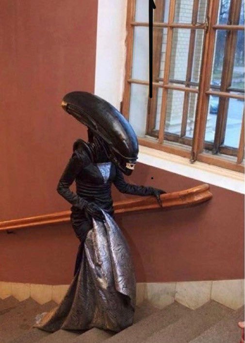 the bed bugs arriving at st pancras station looking for the victoria line