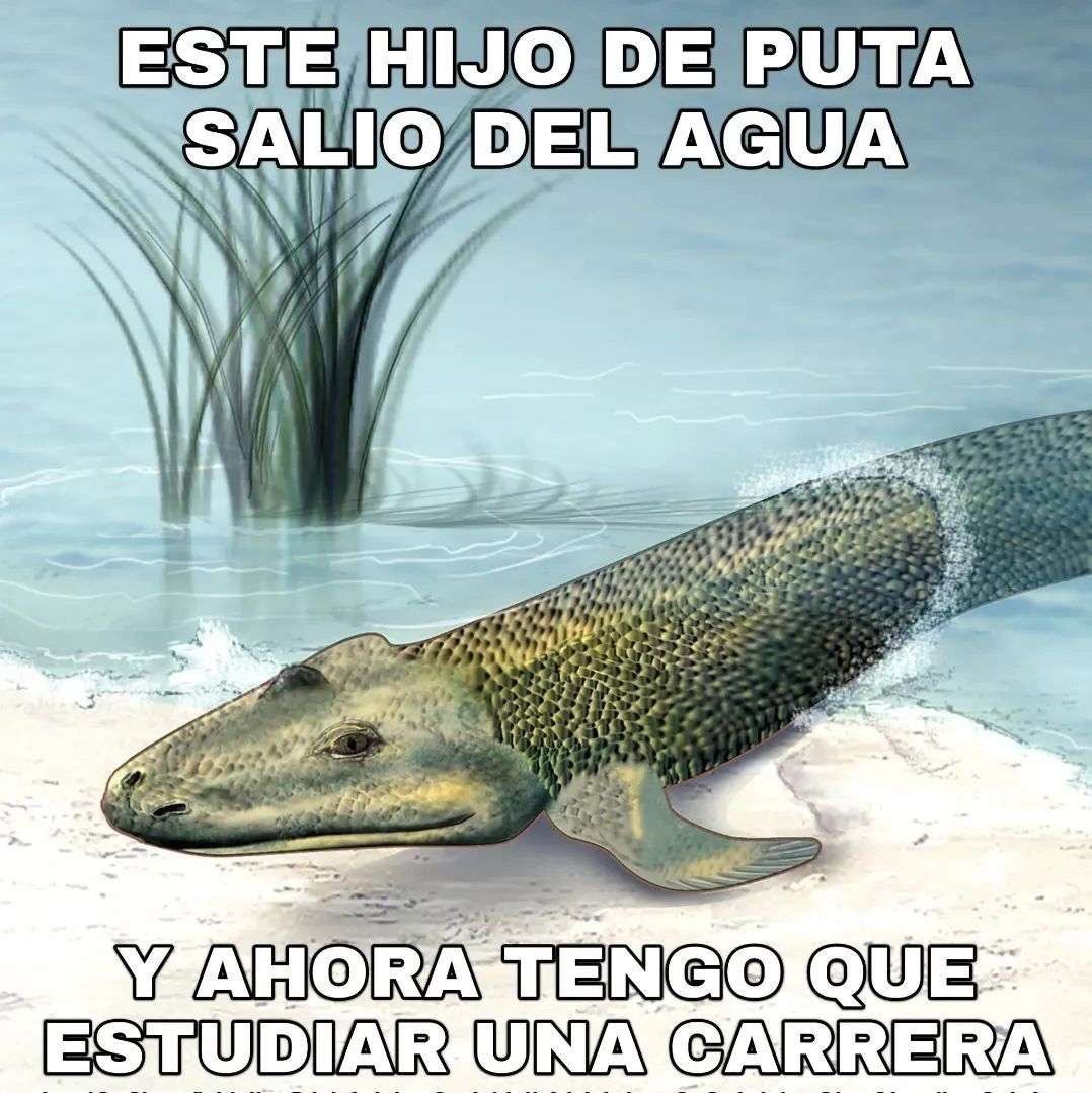 mañana otra vez a la puta puta sucia y bomba uni por este hijodeputa