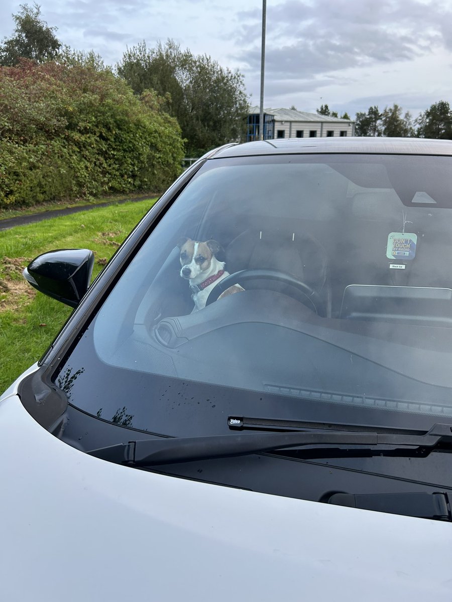 MervynKM's tweet photo. Mabel has been caught driving without a license and wearing no seatbelt. 🙈🤣 https://t.co/6Kv9CduGQf