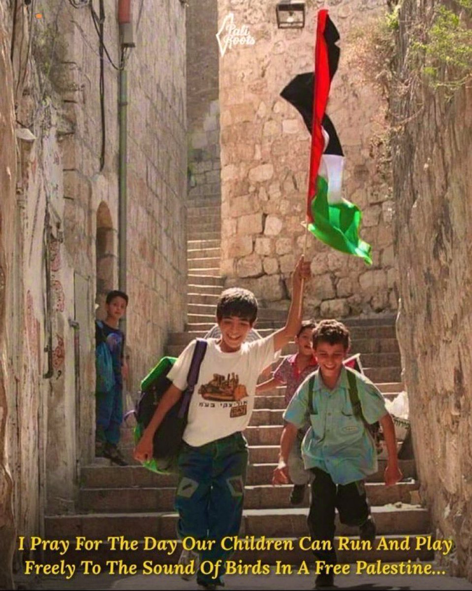 HalalNation_'s tweet photo. May Allah protect our children. And all of Palestine 🇵🇸 🤍 https://t.co/fBxpUUDbEB