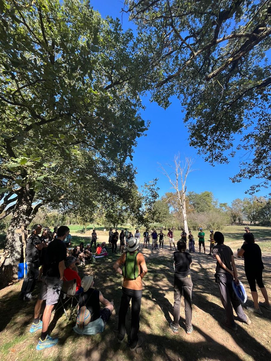 GrupFanal's tweet photo. Una cinquantena de participants a la caminada informativa sobre els macroparcs al #Moianès
#renovablessiperonoaixi https://t.co/ioS3K6zL2d
