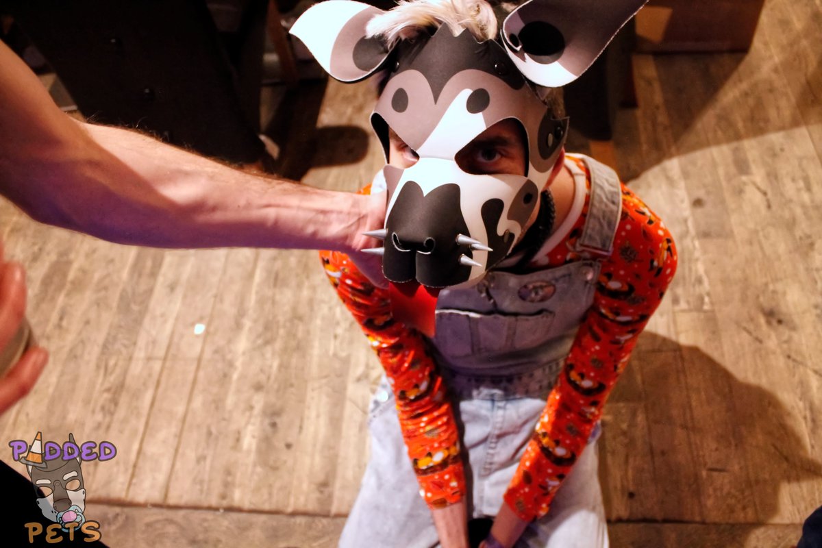 Padded_Pets's tweet photo. Padded Pets is Only 1 WEEK AWAY !!!!!!!
GET YOUR TICKETS HERE 

https://t.co/ETCM5qetRH

📸@puppersimba, @LittleRyRy1, @Pup_Ric @LilPupPhoenix 📸 https://t.co/XVjkwOC5mc