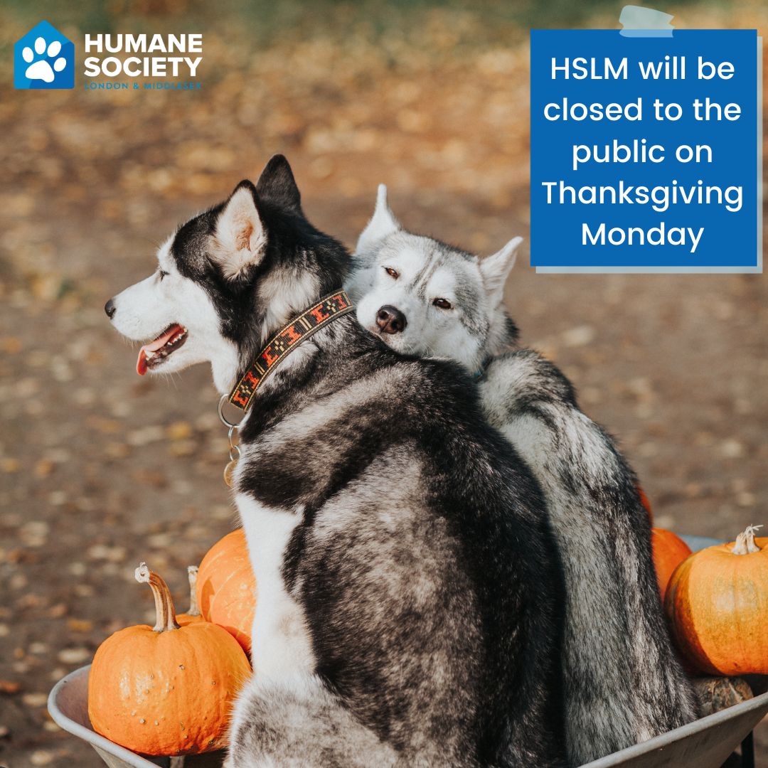 Humane Society London & Middlesex tweet media