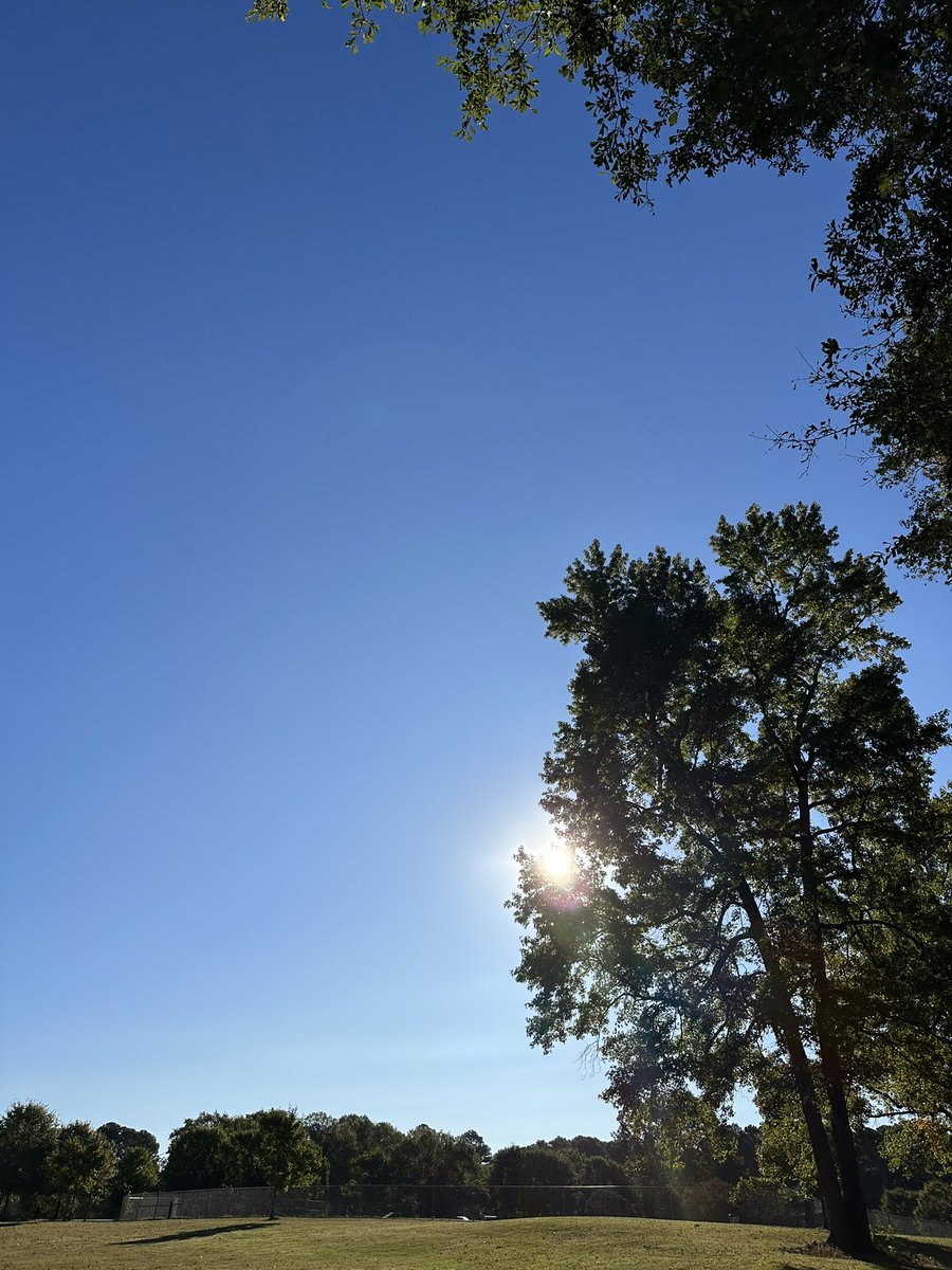 Words_Unveiled's tweet photo. Everyone Loves the Sunshine ☀️ 
Happiness SUN ☀️ Day! 😀 https://t.co/MDKaXxF6Fg