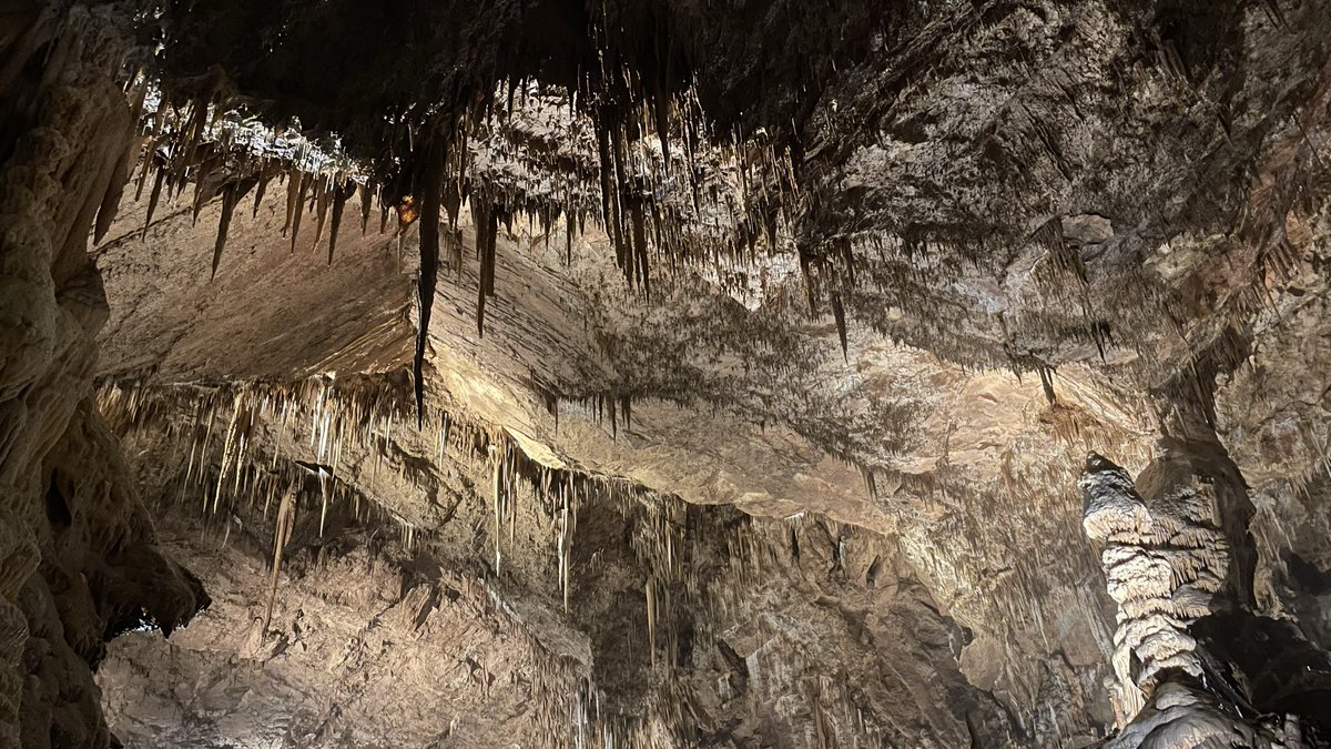 Exploring a limestone cave this summer was an amazing experience. Sharing a picture with you all. 🌞🚶‍♀️📸⛰️

#CaveExploration #NatureBeauty #SummerAdventures