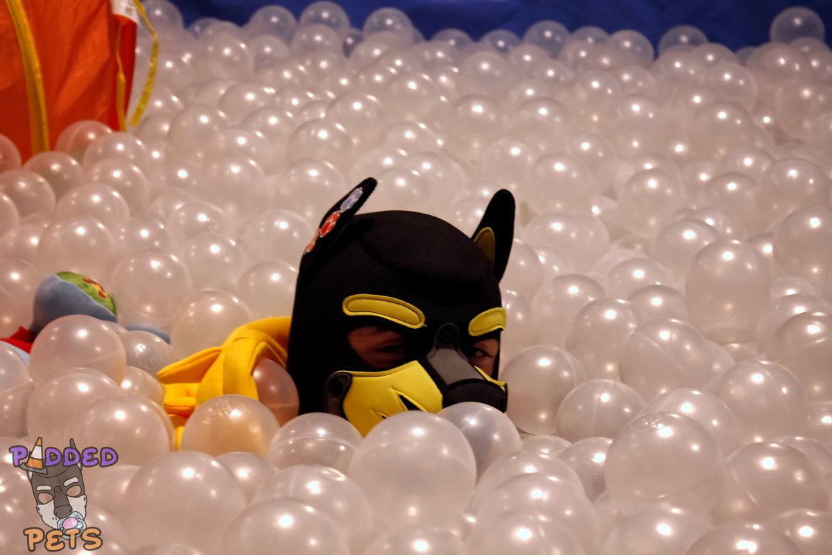 Padded Pets is Only 1 WEEK AWAY !!!!!!!
GET YOUR TICKETS HERE 

eventbrite.co.uk/e/padded-pets-…

📸<a href="/puppersimba/">Pup Simba</a>, <a href="/LittleRyRy1/">Ryker 🔜 LFM, Animalz</a>, <a href="/Pup_Ric/">Pup Ric</a> @LilPupPhoenix 📸