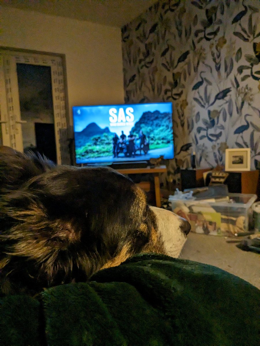 Mums making me watch celeb SAS... only reason she's watching it is because she likes Gareth Gates.