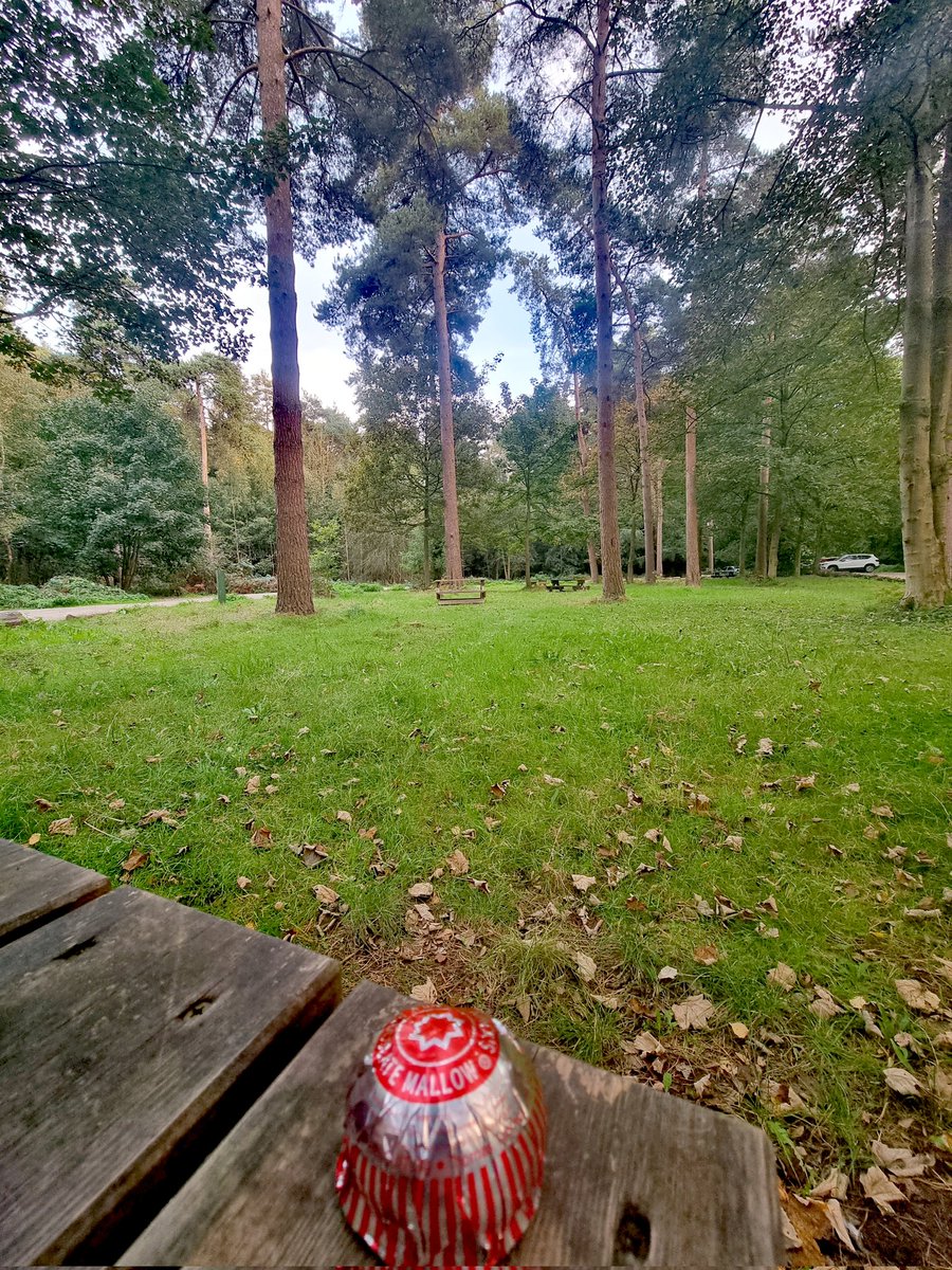 JTCHANGINGBIZ's tweet photo. Picnic
#Treeflections https://t.co/CEHCkJ01uc
