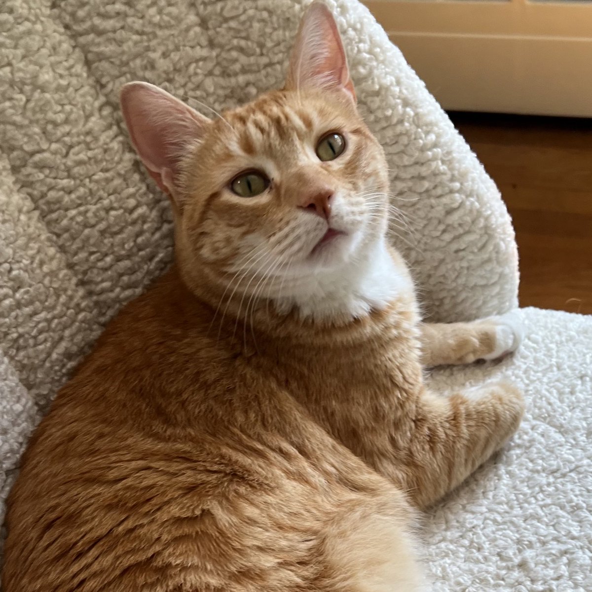 I didn’t “take” your chair. It’s right here