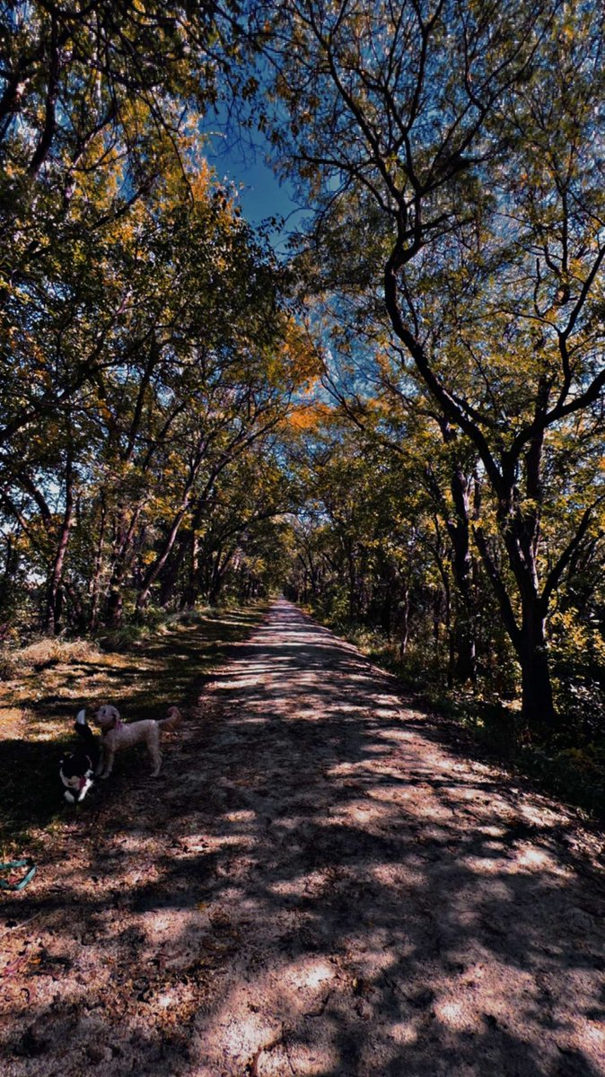 The weather was too BOOtiful to not take some spooky pictures with Django!
