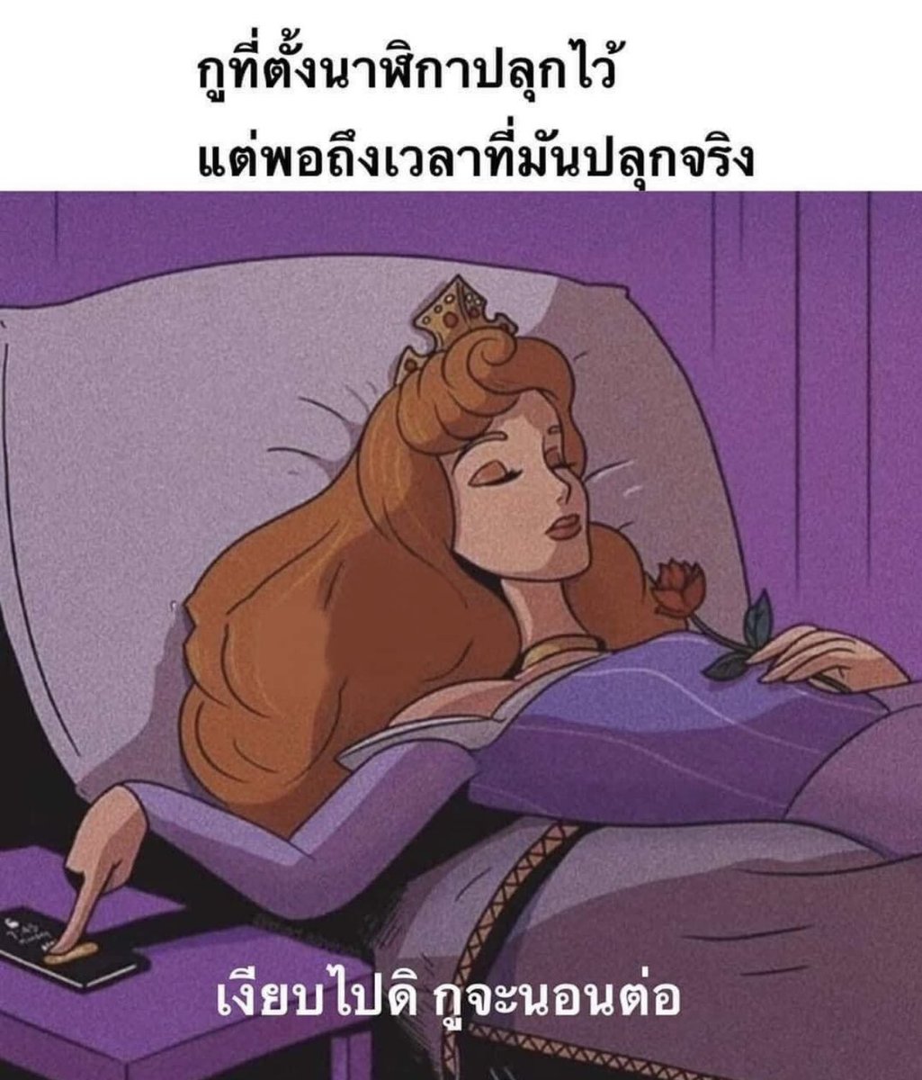 ช่างแม่ง🐰🏳️🌈 tweet media