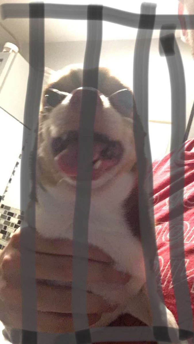 BGizzy22's tweet image. #freestewie the feds got his ass 😞