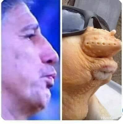 carolinirocha_'s tweet image. 