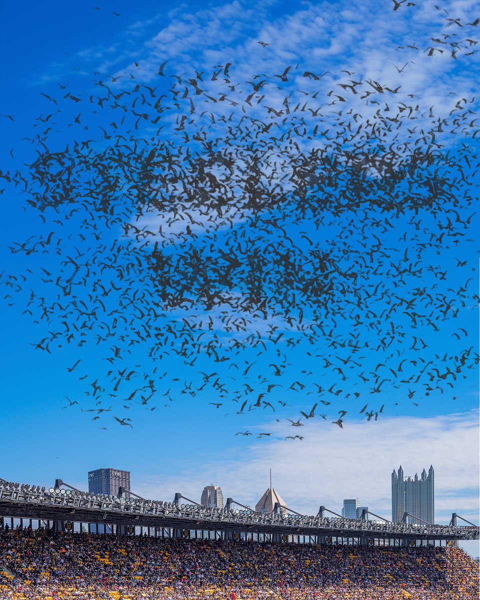 RT when you see it 😏