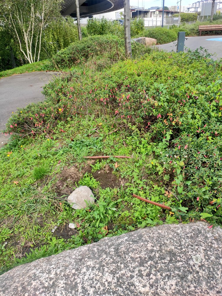 sector7_coruna's tweet photo. 🎠 Así tenemos el mini parque del barrio
🌿 Silveiras por todos lados
🚱 Fuente q no funciona
#coruña #someso #recintoferial @ConcelloCoruna @CorunaSostible https://t.co/2fgkm8dgFd